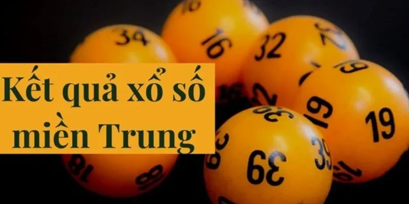 Khám Phá Bet11: Nơi Dẫn Dắt Bạn Đến Với Thế Giới Bóng Đá